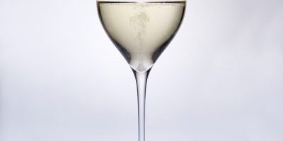 Premium champagne plastic wine glasses (4)