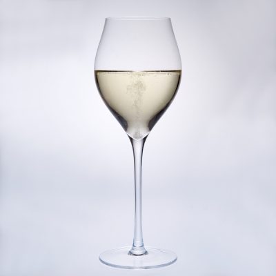 Premium champagne plastic wine glasses (4)