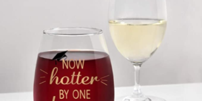 Trendy Transparent Multipurpose Stemless Wine Glass (2)