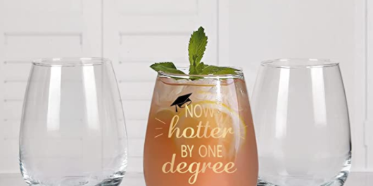 Trendy Transparent Multipurpose Stemless Wine Glass (6)